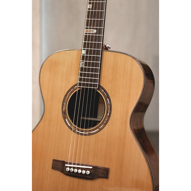 Fonzo V-201C OM Full Body